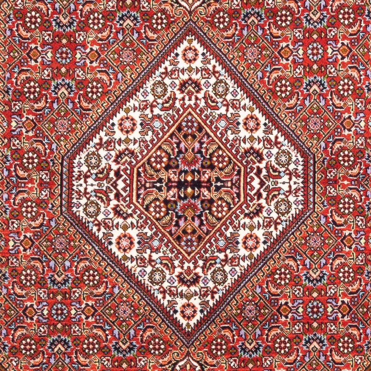 Tappeto Persero - Bidjar - 176 x 108 cm - rosso