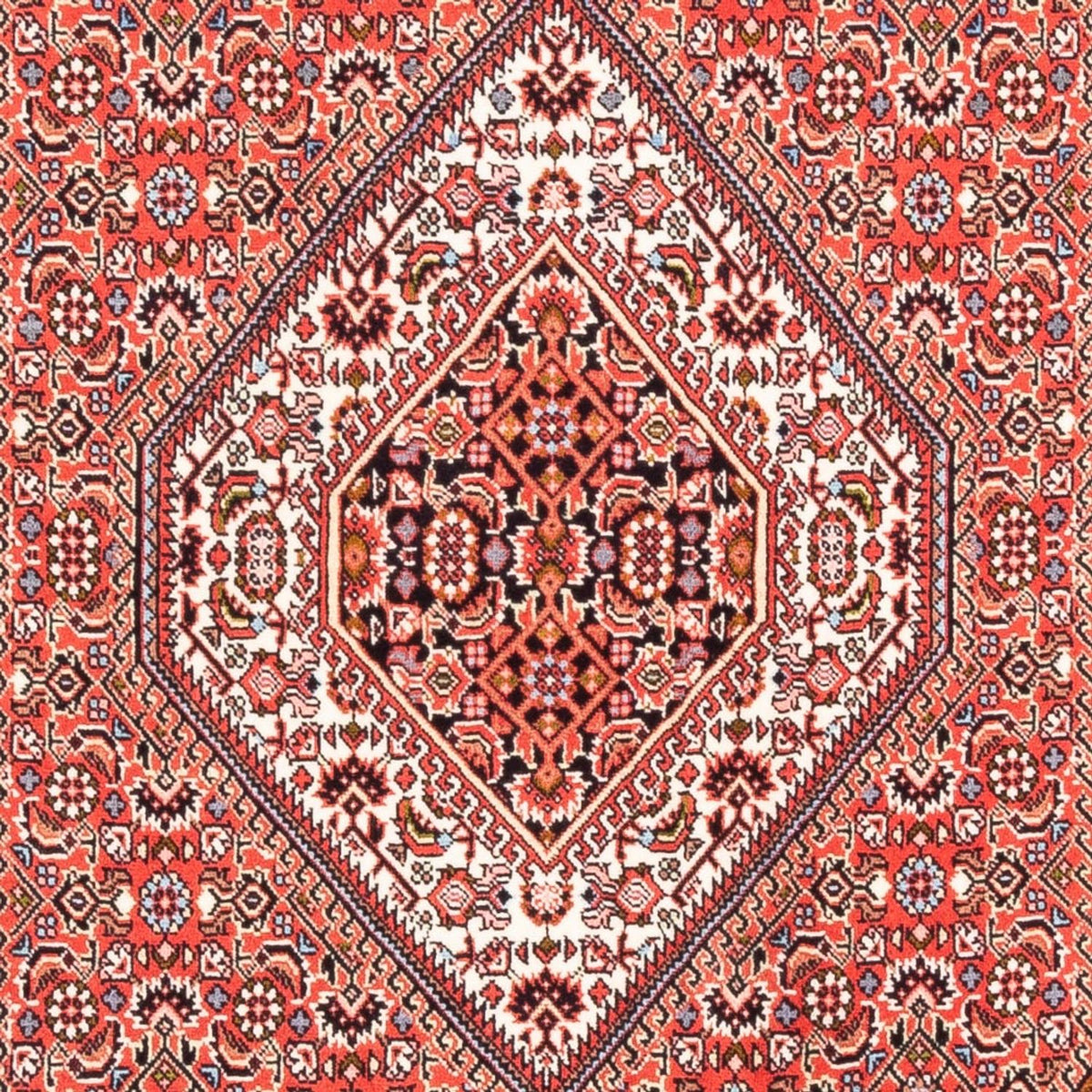 Tappeto Persero - Bidjar - 177 x 109 cm - rosso