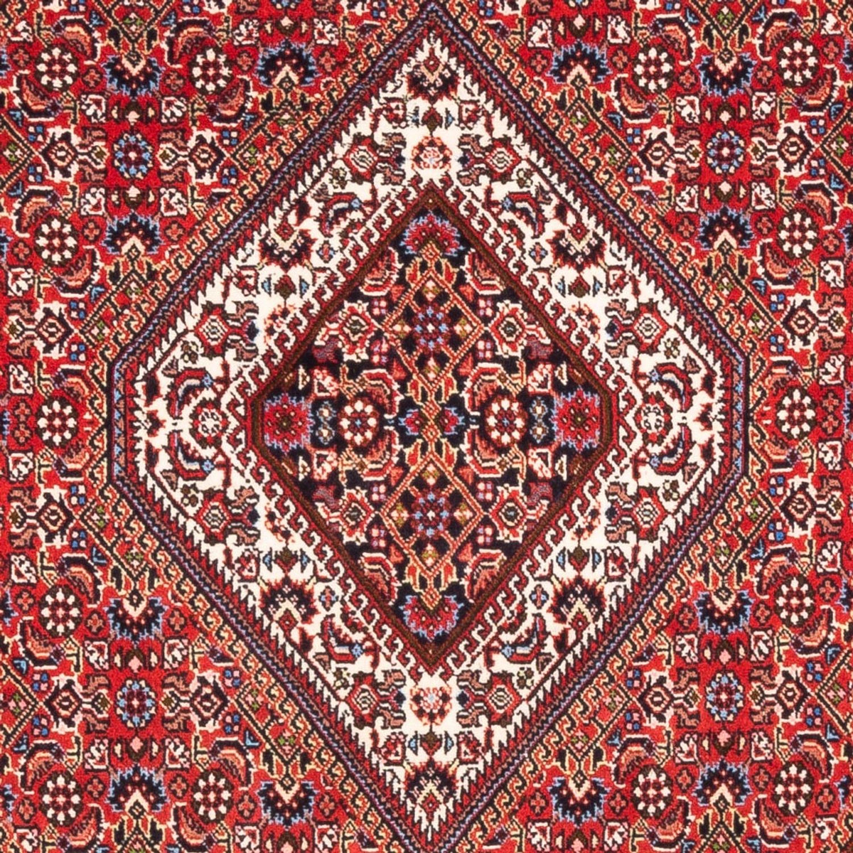 Tappeto Persero - Bidjar - 180 x 110 cm - rosso