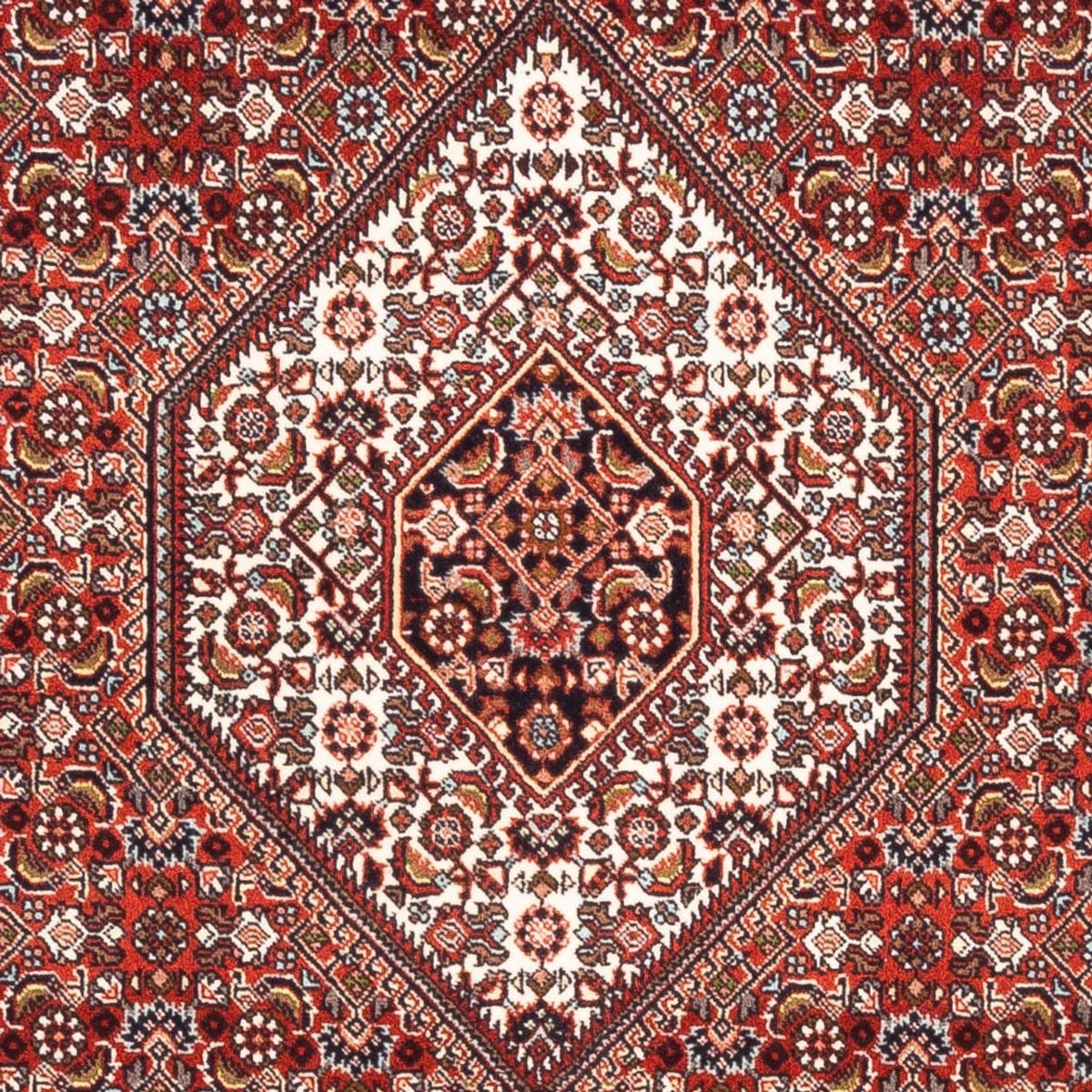 Tappeto Persero - Bidjar - 177 x 107 cm - rosso
