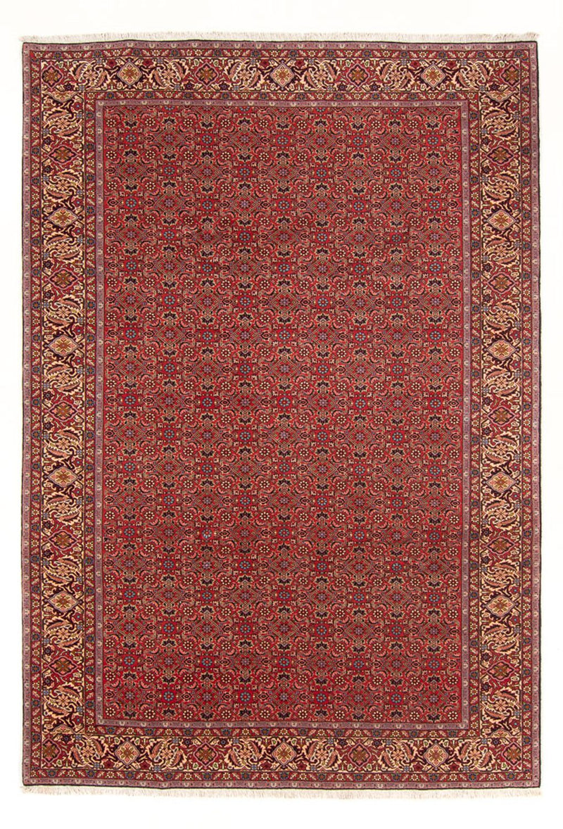 Tappeto Persero - Bidjar - 296 x 197 cm - rosso
