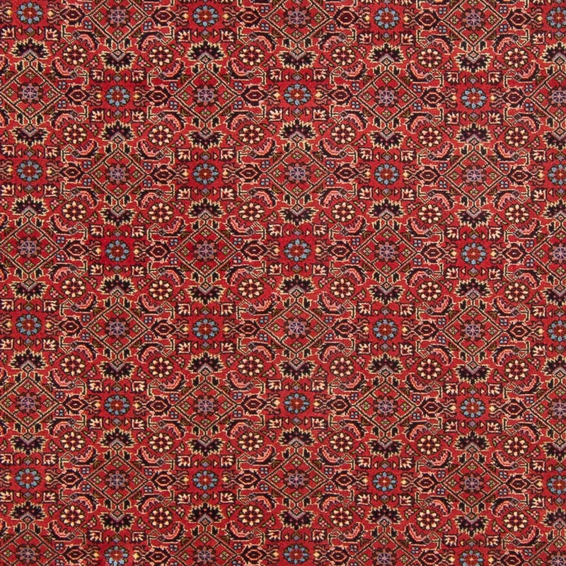 Tappeto Persero - Bidjar - 296 x 197 cm - rosso