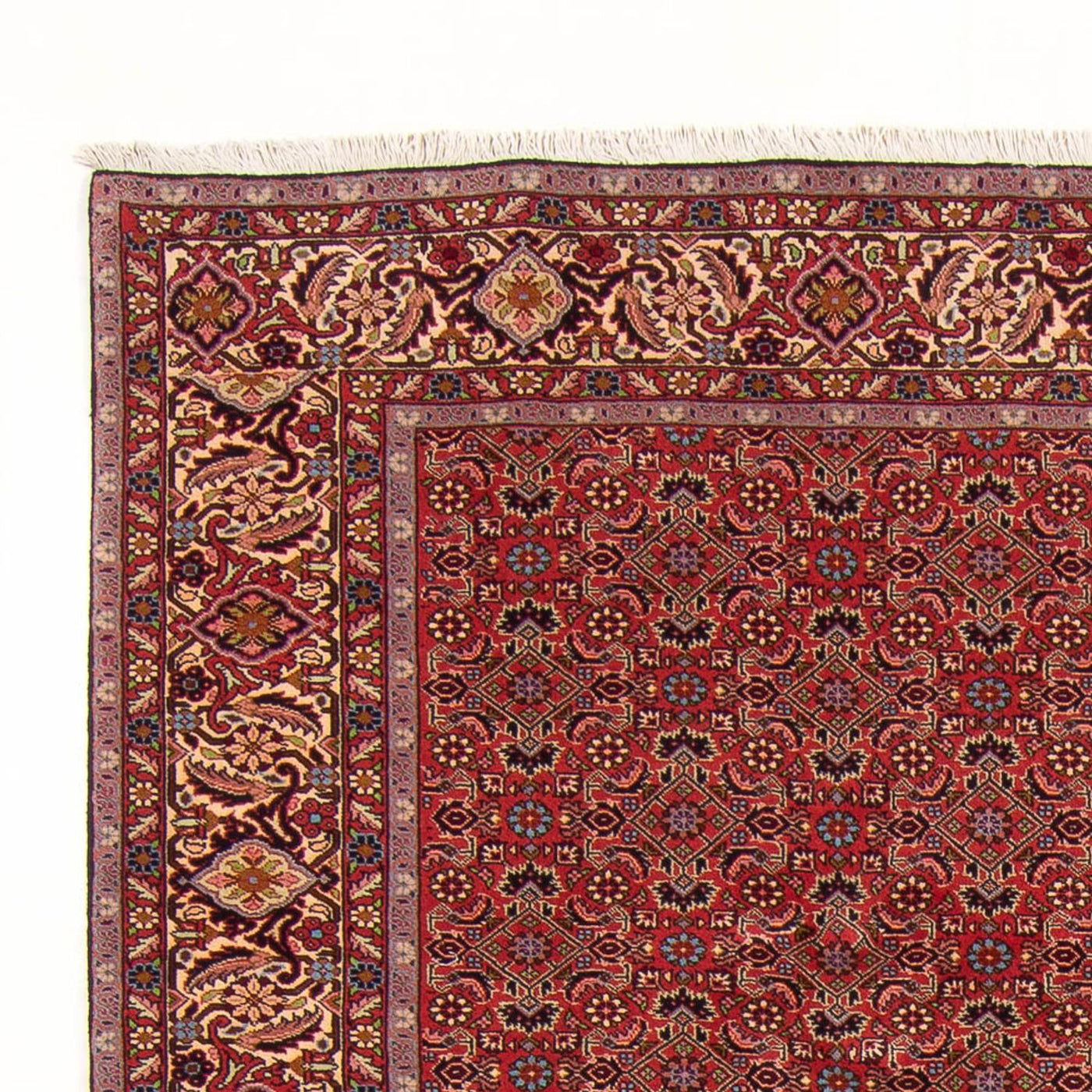 Bidjar - Bukan Tappeto 296x197cm - Tappeto persiano