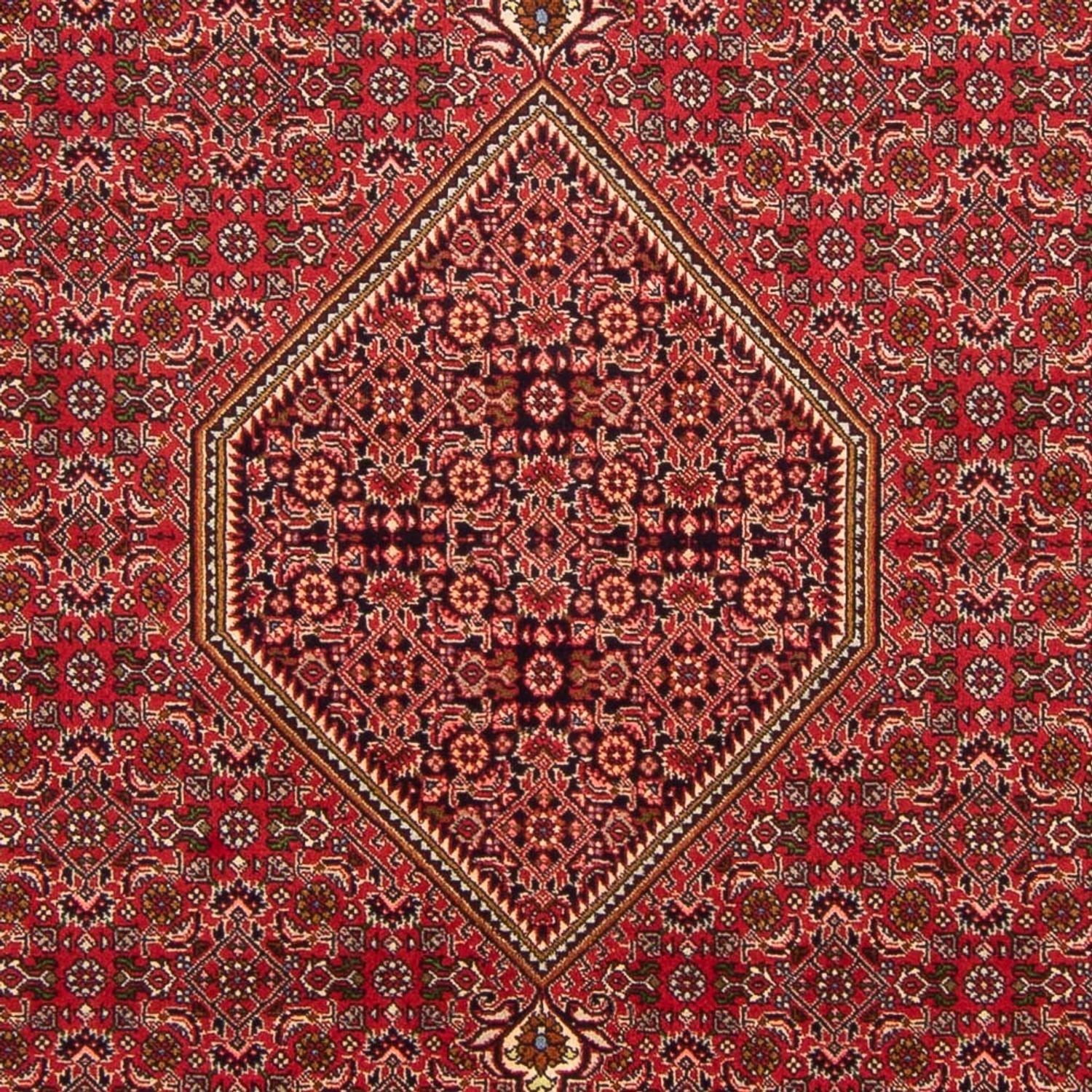 Tappeto Persero - Bidjar - 290 x 192 cm - rosso