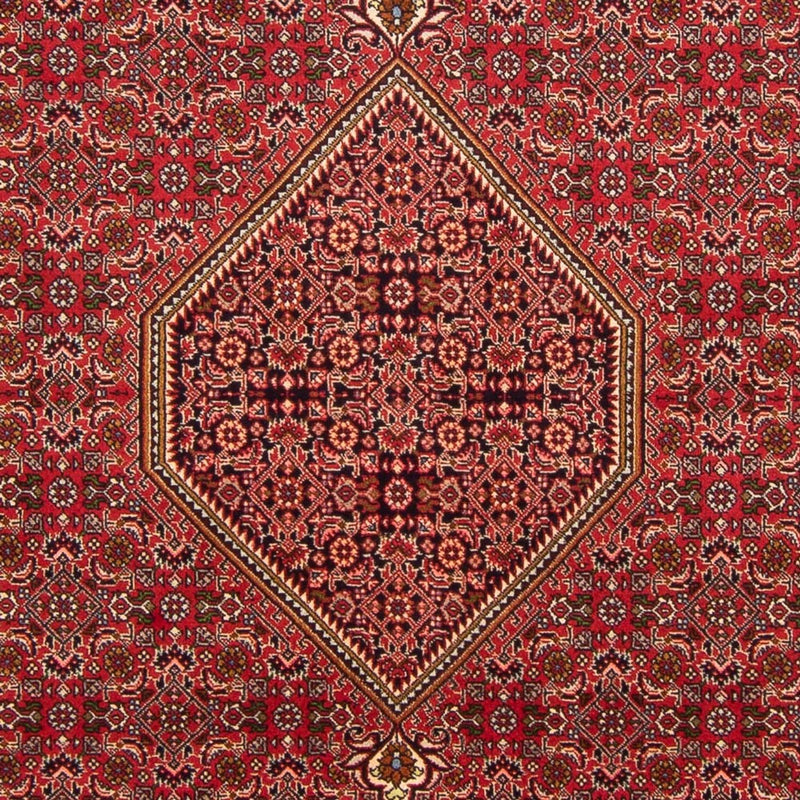 Tappeto Persero - Bidjar - 290 x 192 cm - rosso