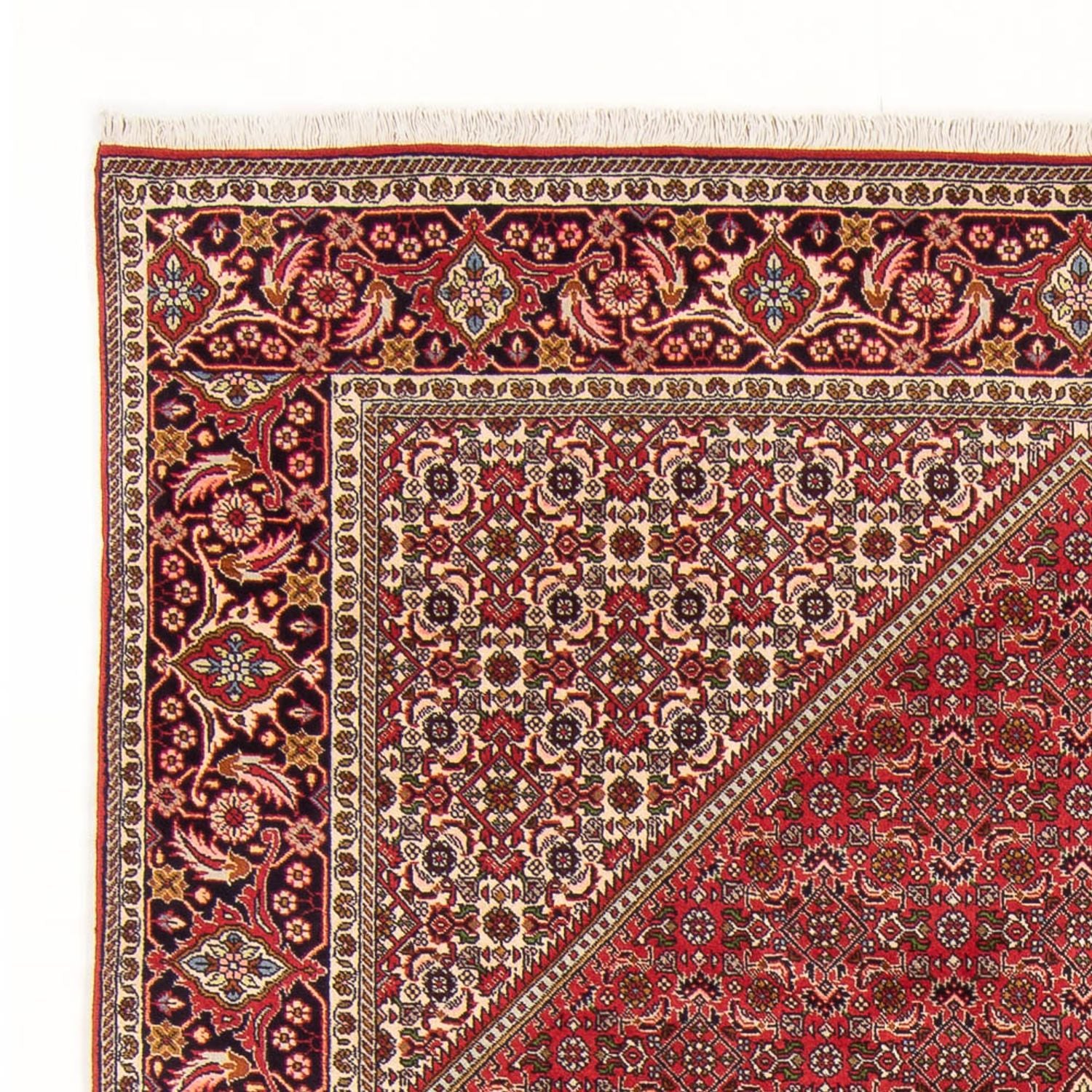Tappeto Persero - Bidjar - 290 x 192 cm - rosso