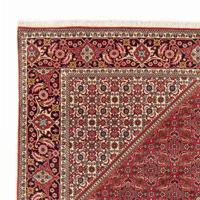 Tappeto Persero - Bidjar - 290 x 192 cm - rosso