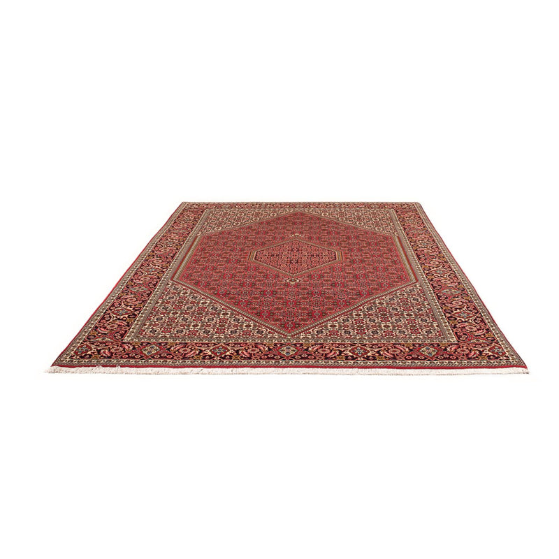 Tappeto Persero - Bidjar - 290 x 192 cm - rosso