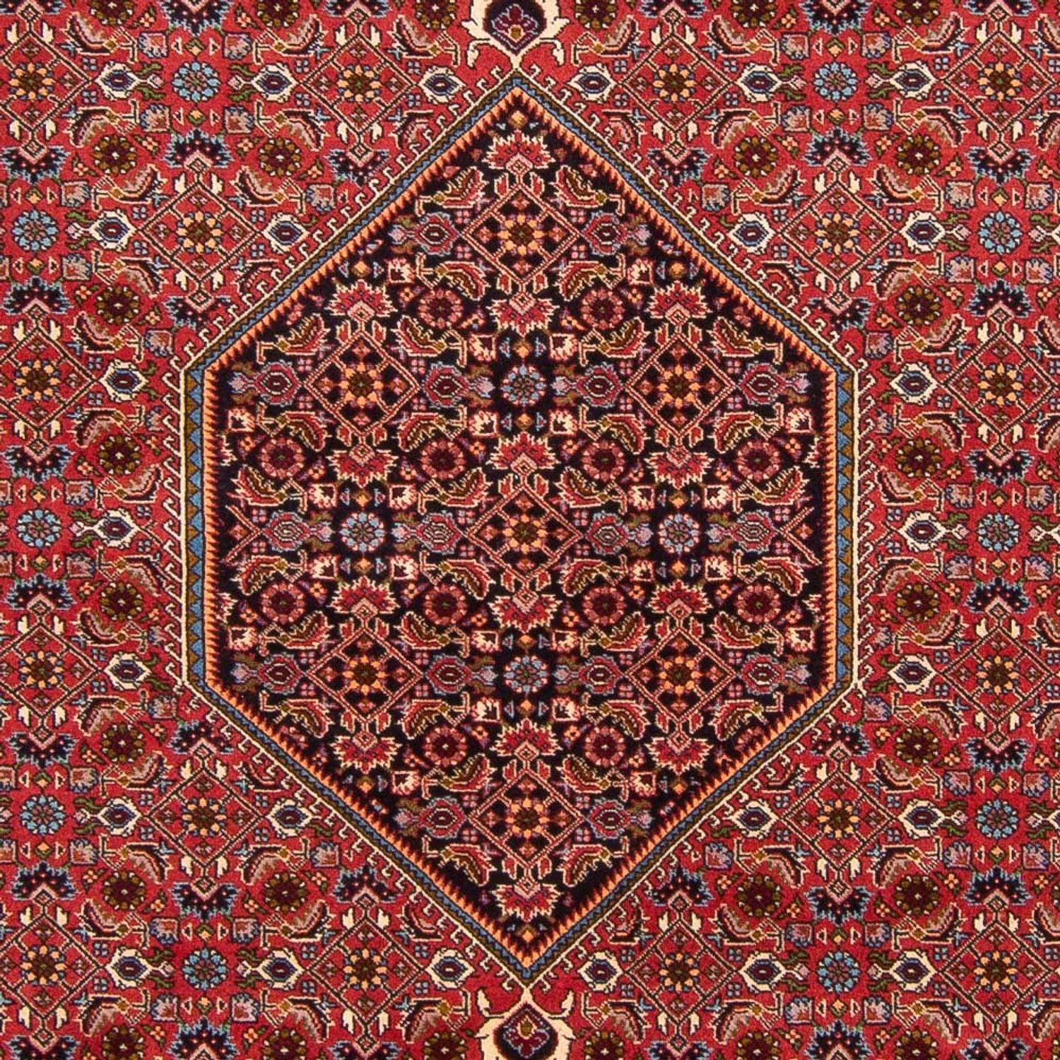 Tappeto Persero - Bidjar - 301 x 200 cm - rosso