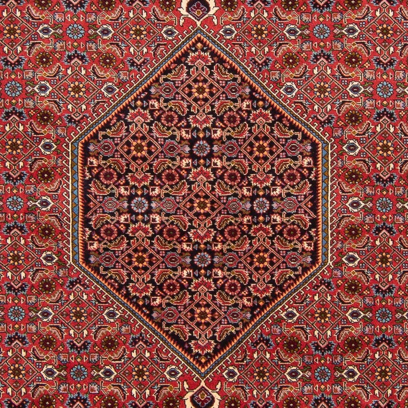 Tappeto Persero - Bidjar - 301 x 200 cm - rosso