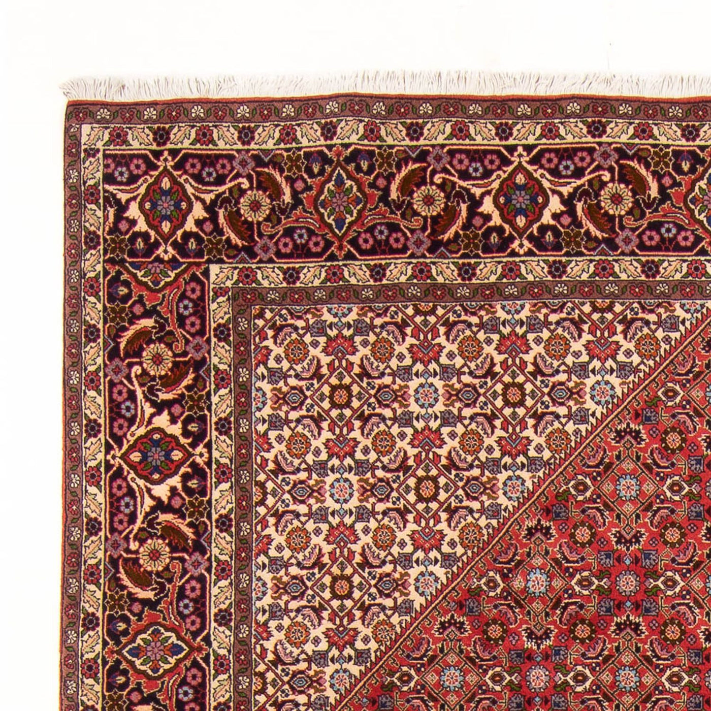 Bidjar - Bukan Tappeto 300x200cm - Tappeto persiano