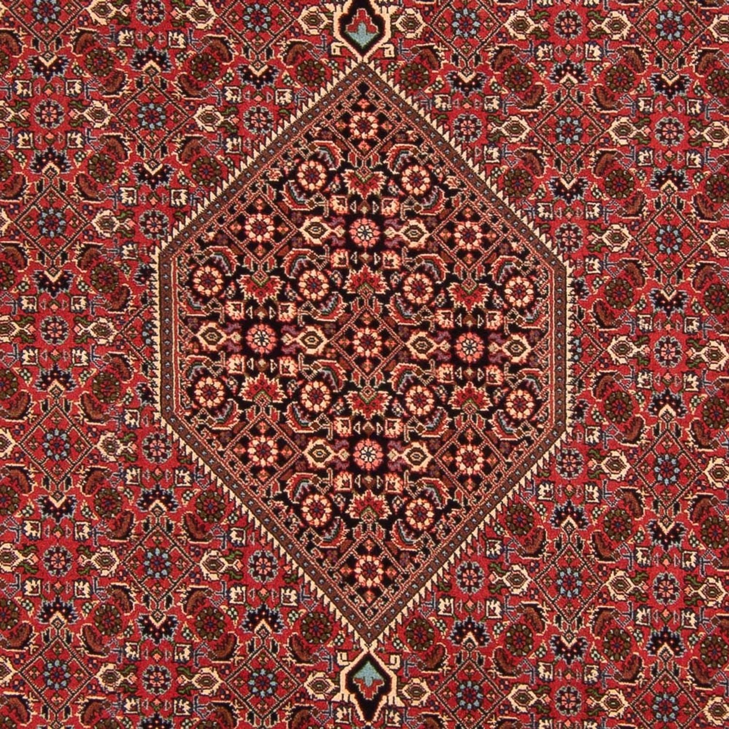 Tappeto Persero - Bidjar - 293 x 200 cm - rosso