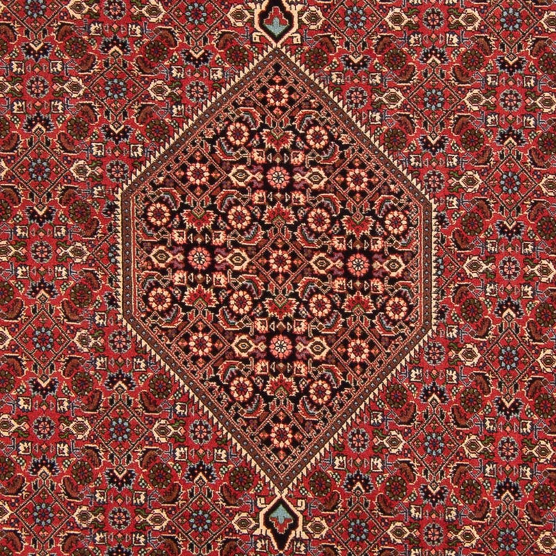 Tappeto Persero - Bidjar - 293 x 200 cm - rosso