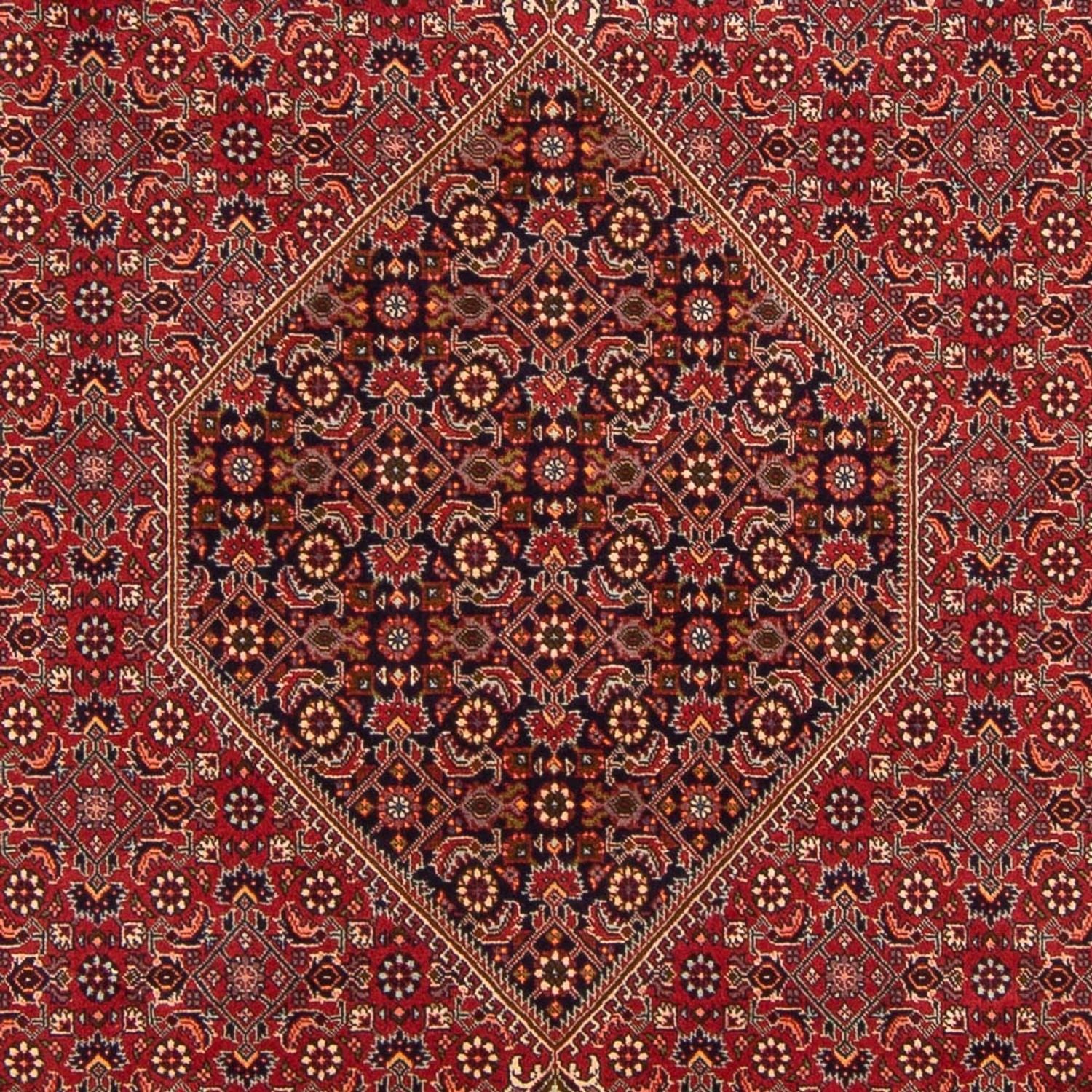 Tappeto Persero - Bidjar - 300 x 201 cm - rosso