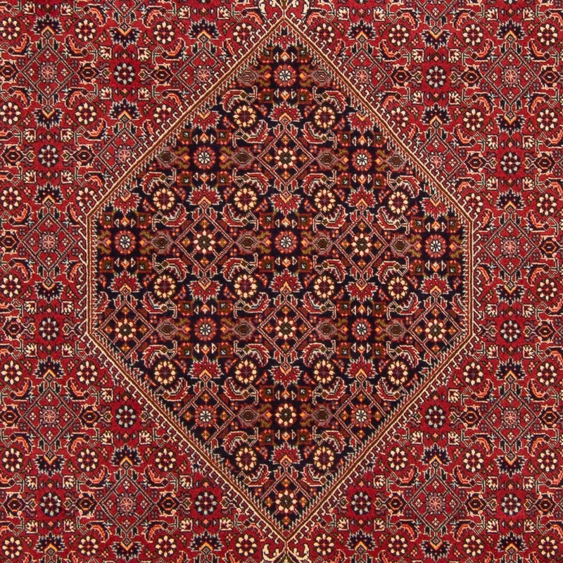 Tappeto Persero - Bidjar - 300 x 201 cm - rosso