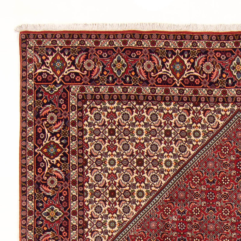 Tappeto Persero - Bidjar - 300 x 201 cm - rosso