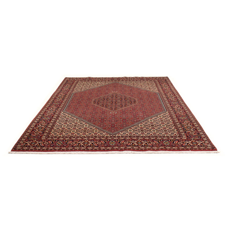 Tappeto Persero - Bidjar - 300 x 201 cm - rosso