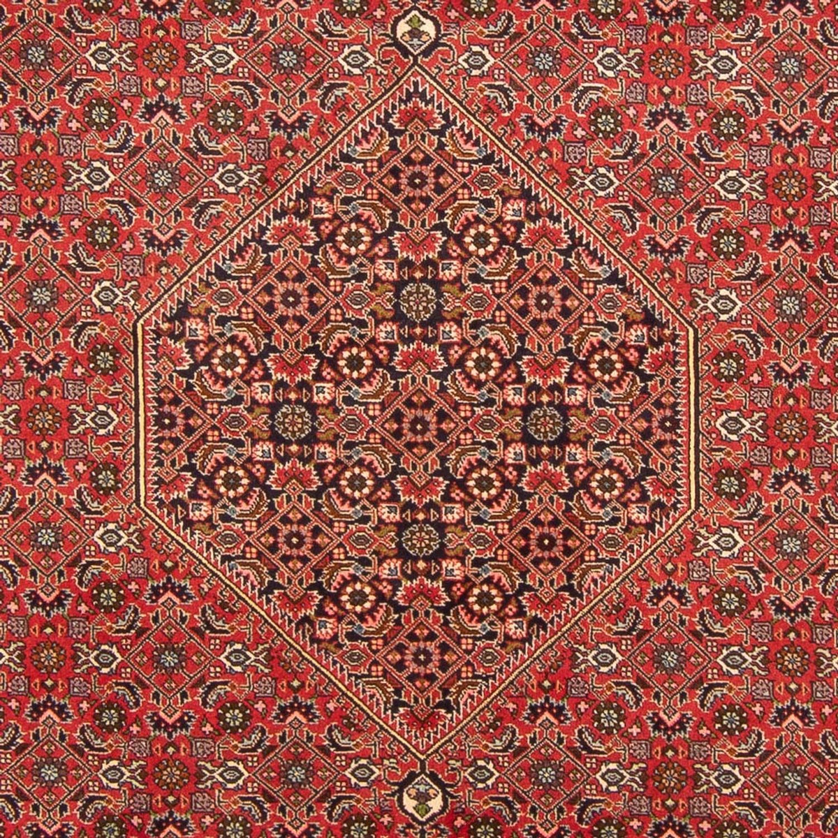 Tappeto Persero - Bidjar - 298 x 197 cm - rosso