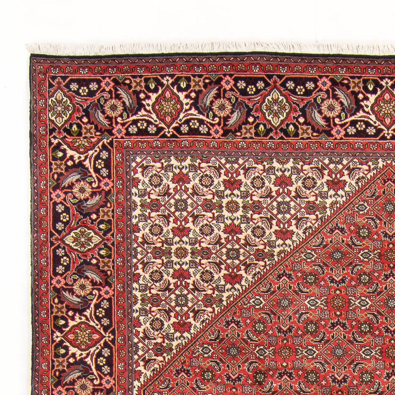 Tappeto Persero - Bidjar - 298 x 197 cm - rosso