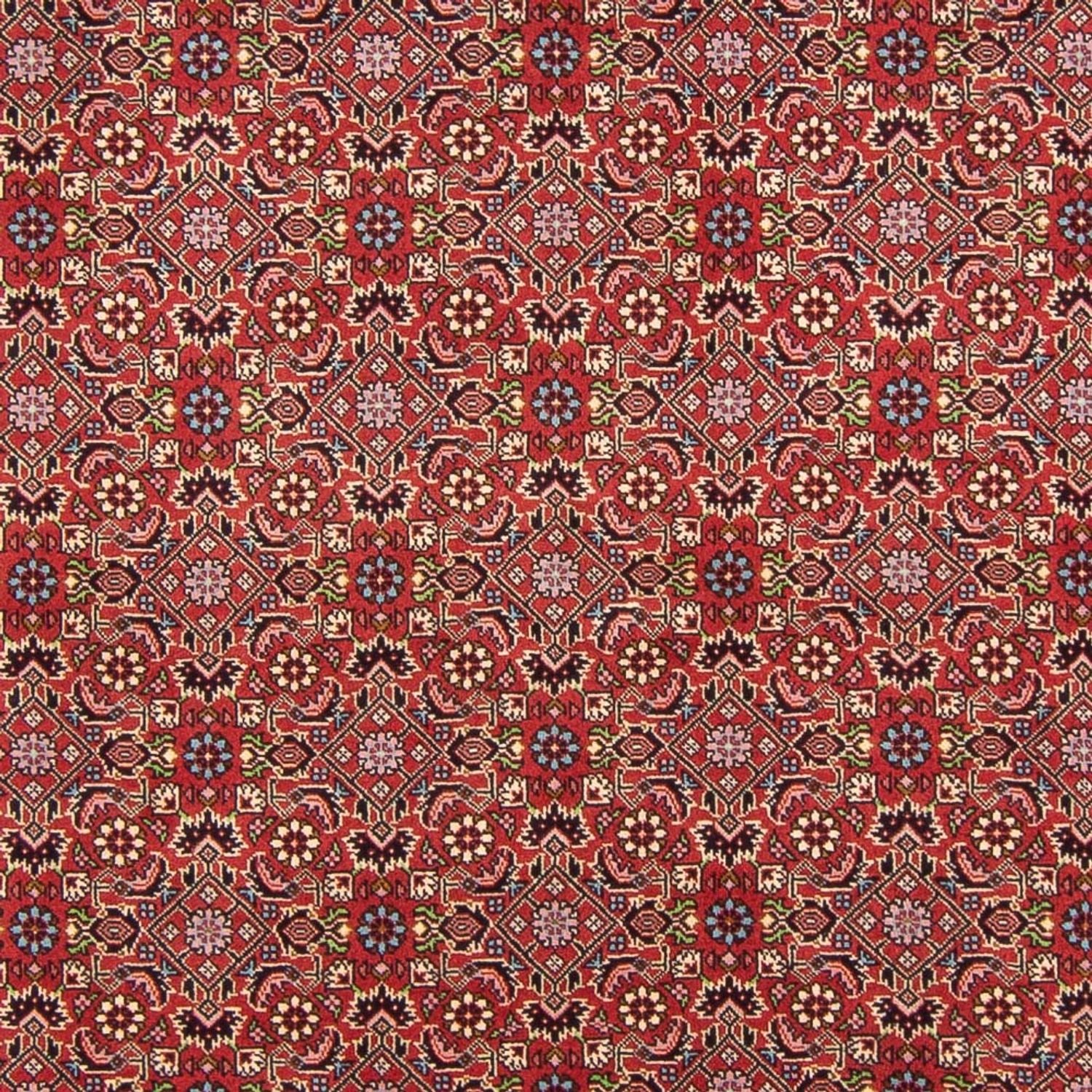 Tappeto Persero - Bidjar - 290 x 198 cm - rosso