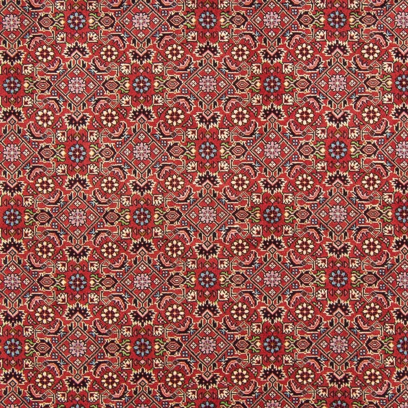 Tappeto Persero - Bidjar - 290 x 198 cm - rosso
