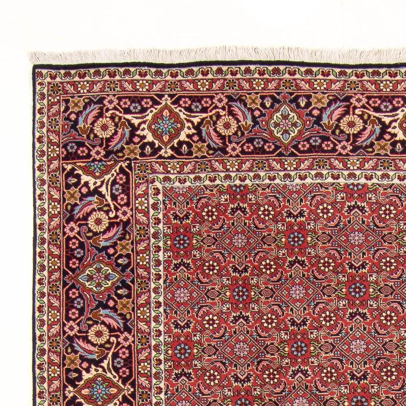 Tappeto Persero - Bidjar - 290 x 198 cm - rosso
