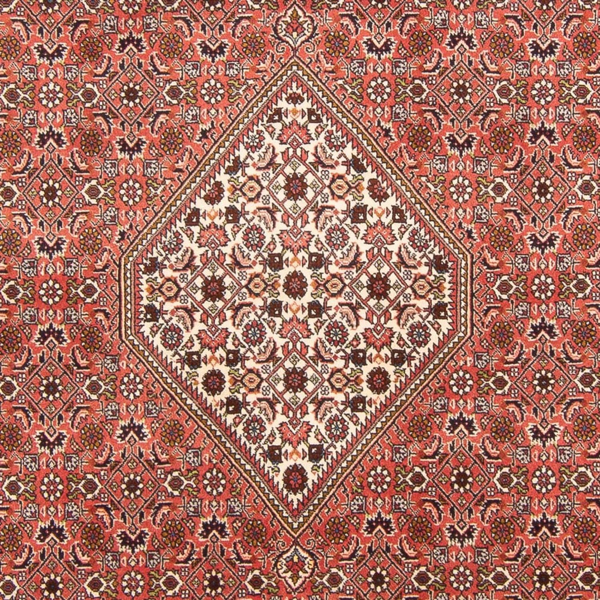Tappeto Persero - Bidjar - 300 x 202 cm - rosso