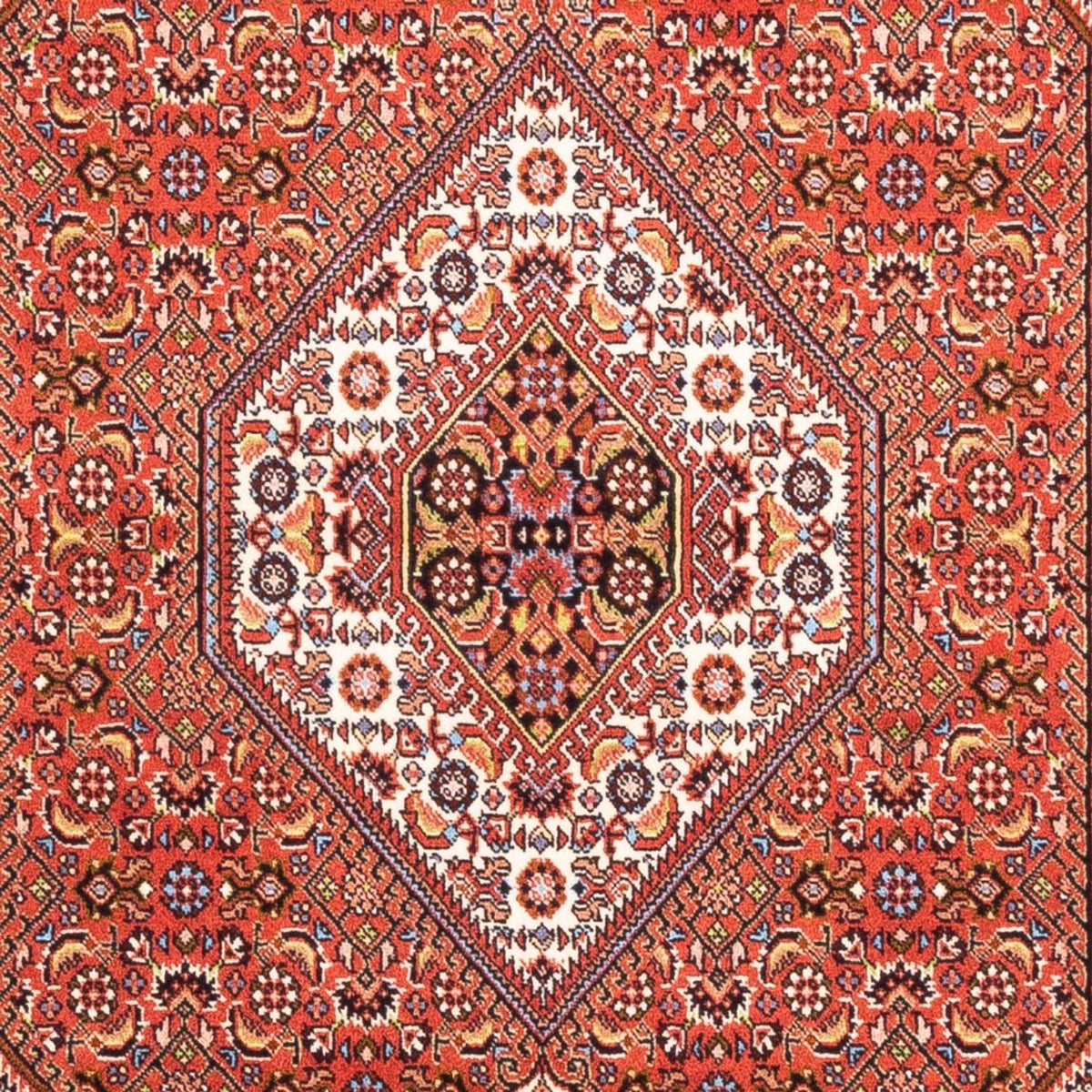 Tappeto Persero - Bidjar - 182 x 110 cm - rosso