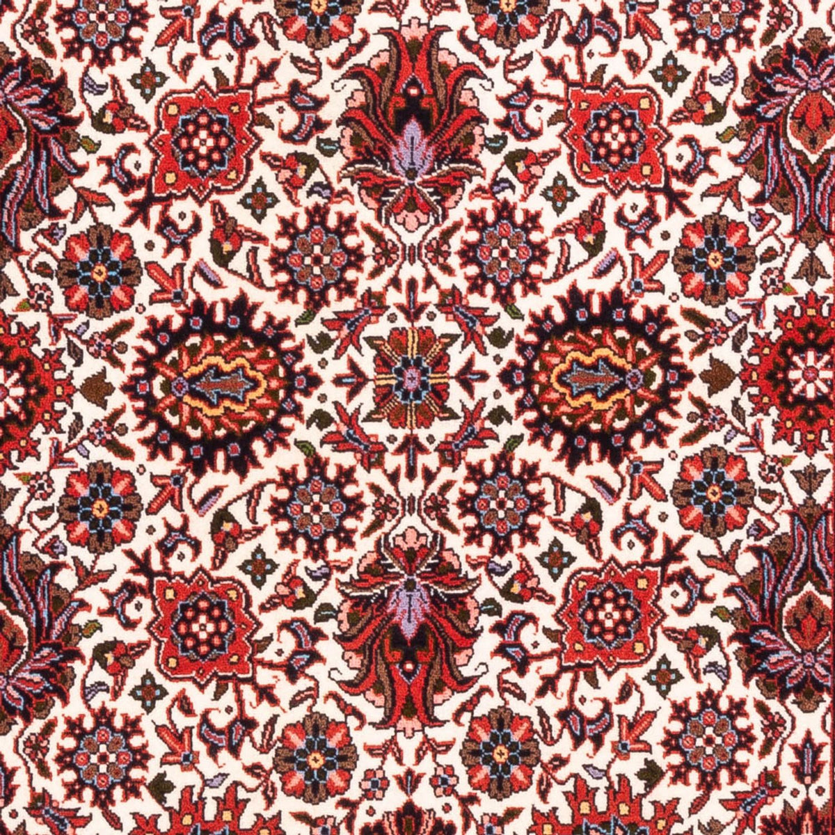 Tappeto corsia Tappeto Persero - Bidjar - 190 x 106 cm - crema