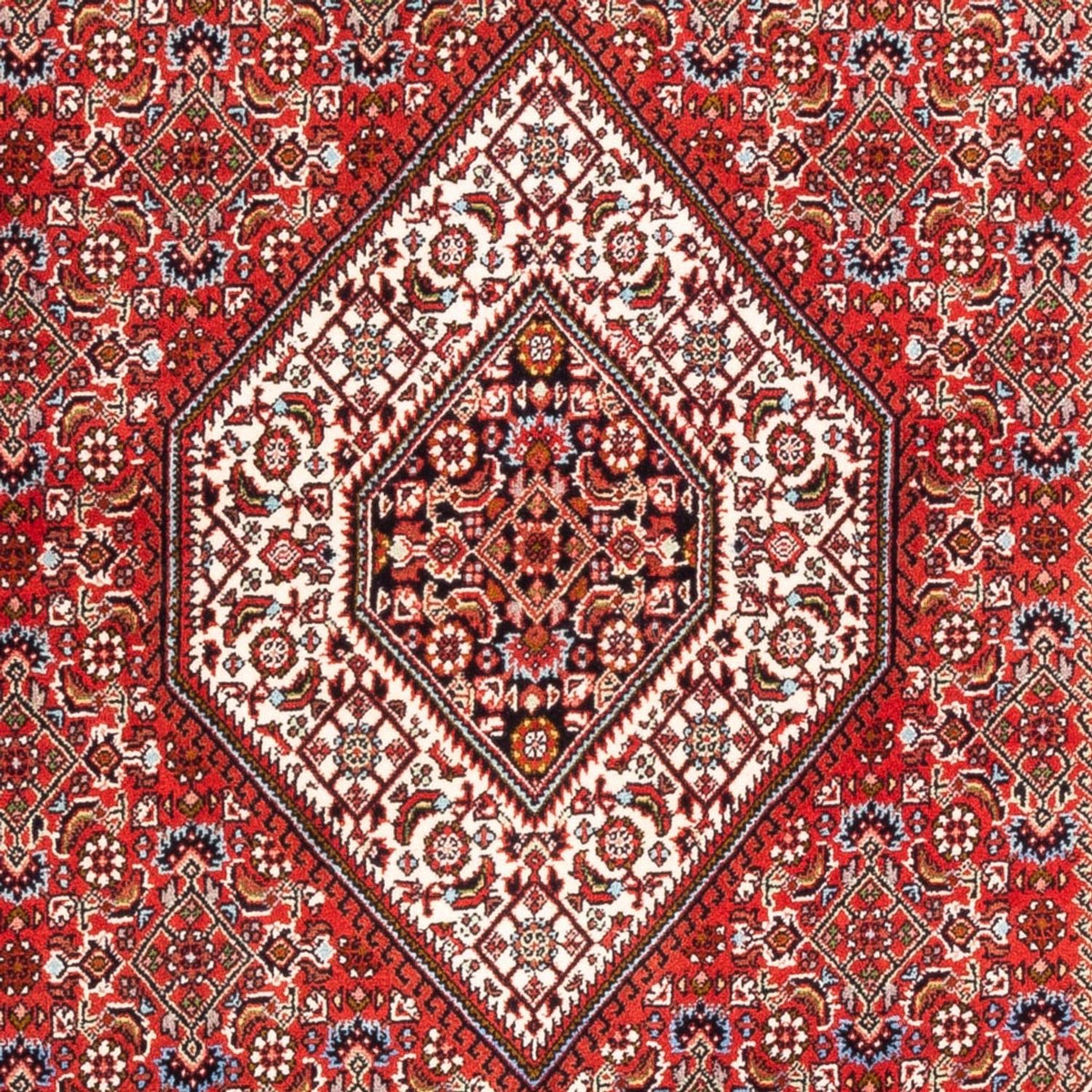 Tappeto Persero - Bidjar - 176 x 110 cm - rosso