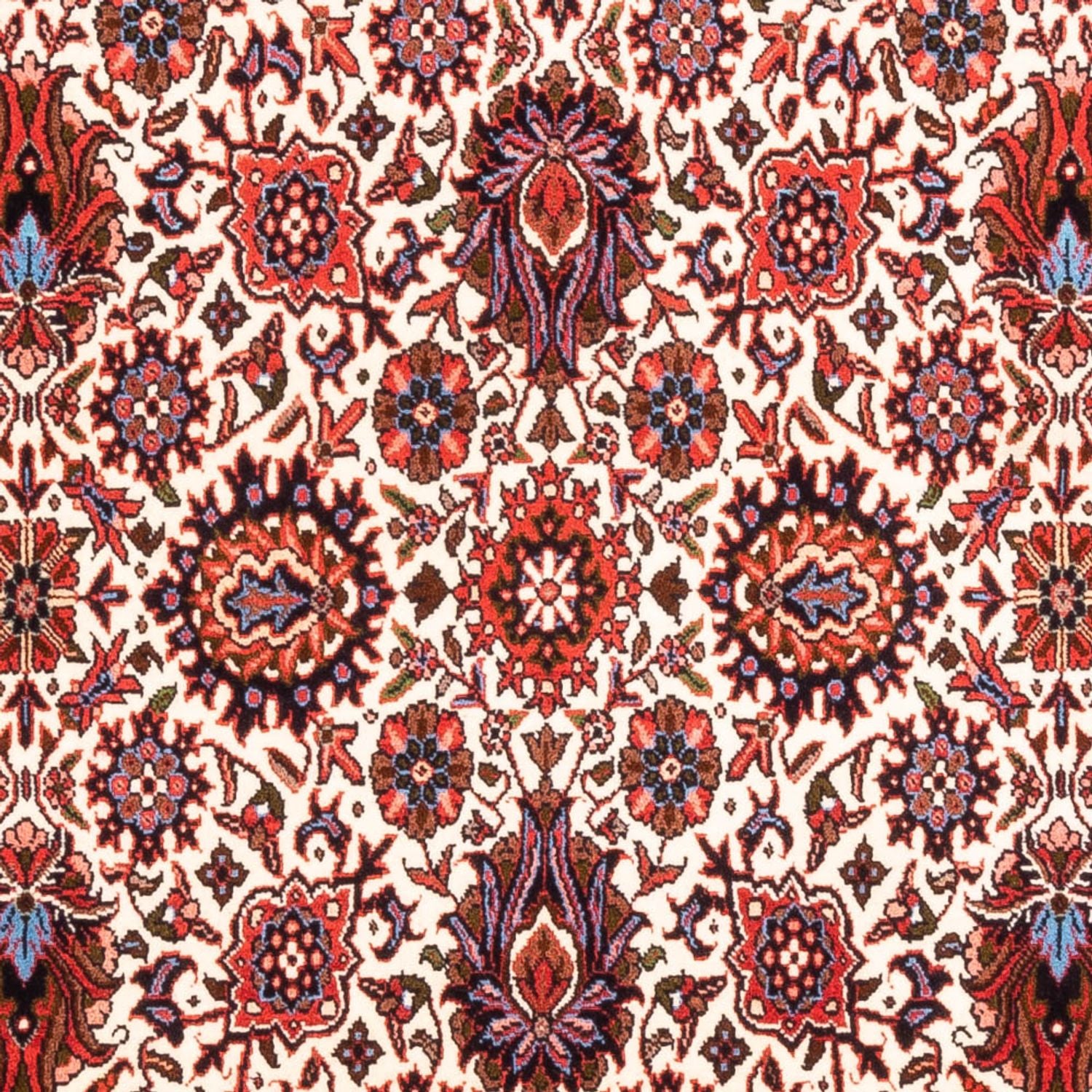 Tappeto Persero - Bidjar - 177 x 110 cm - crema