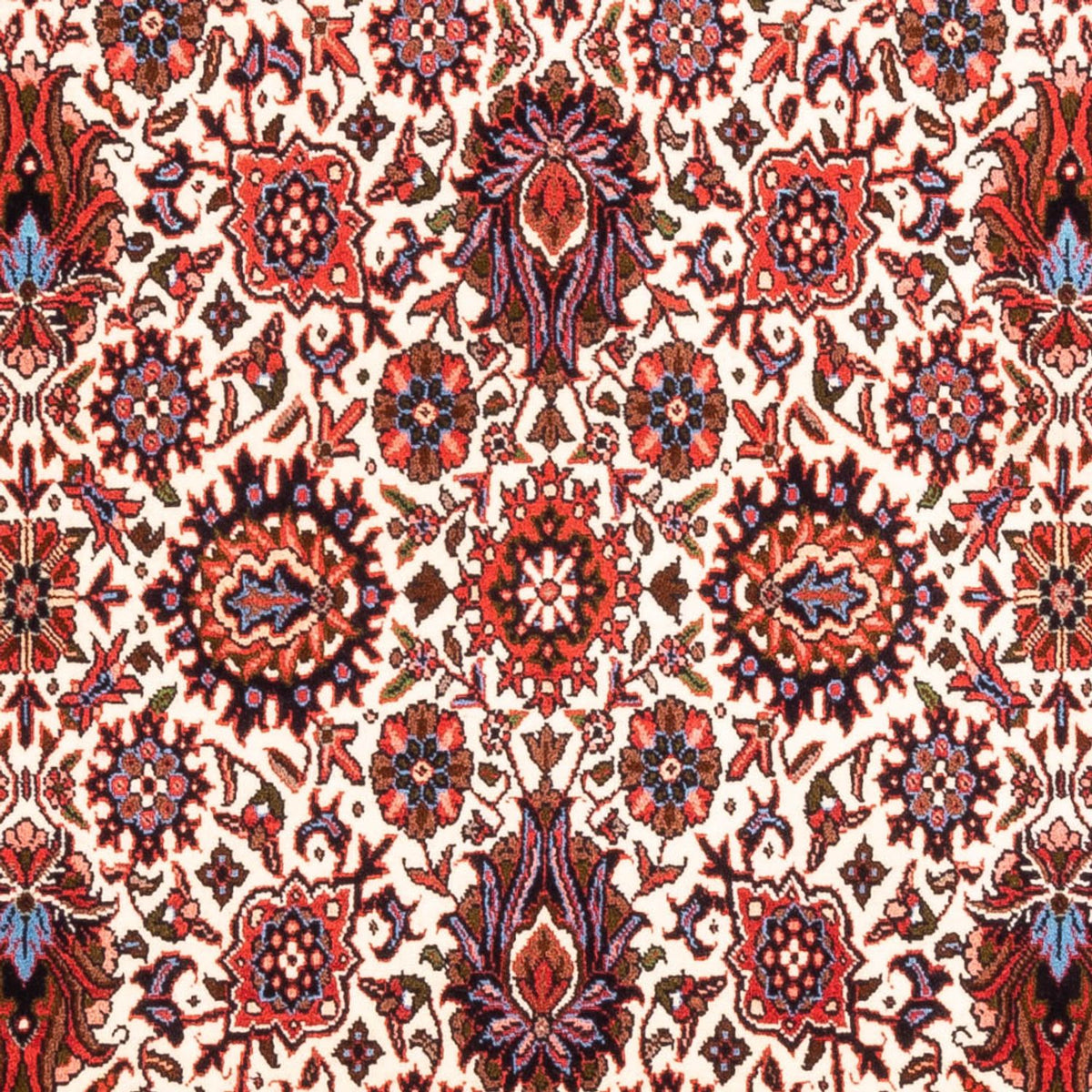 Tappeto Persero - Bidjar - 177 x 110 cm - crema