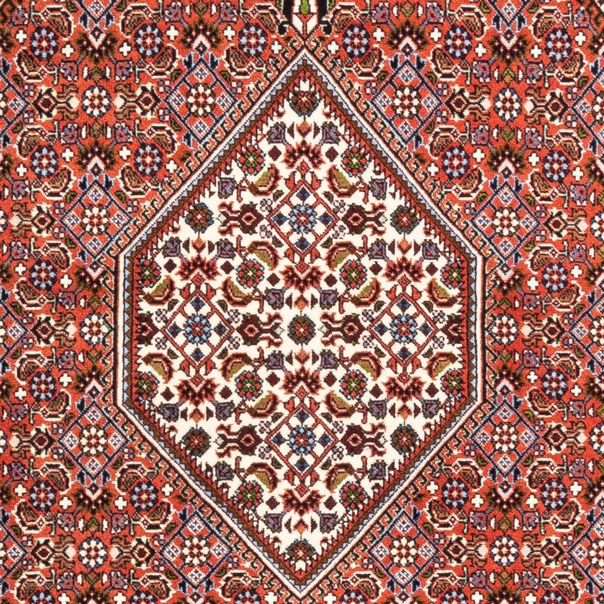 Tappeto Persero - Bidjar - 180 x 112 cm - rosso