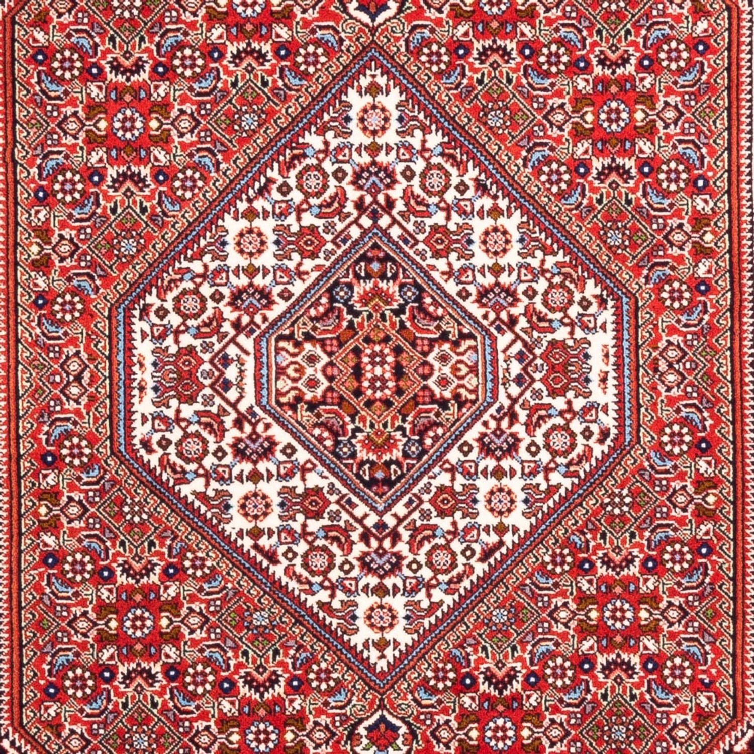 Tappeto Persero - Bidjar - 168 x 109 cm - rosso