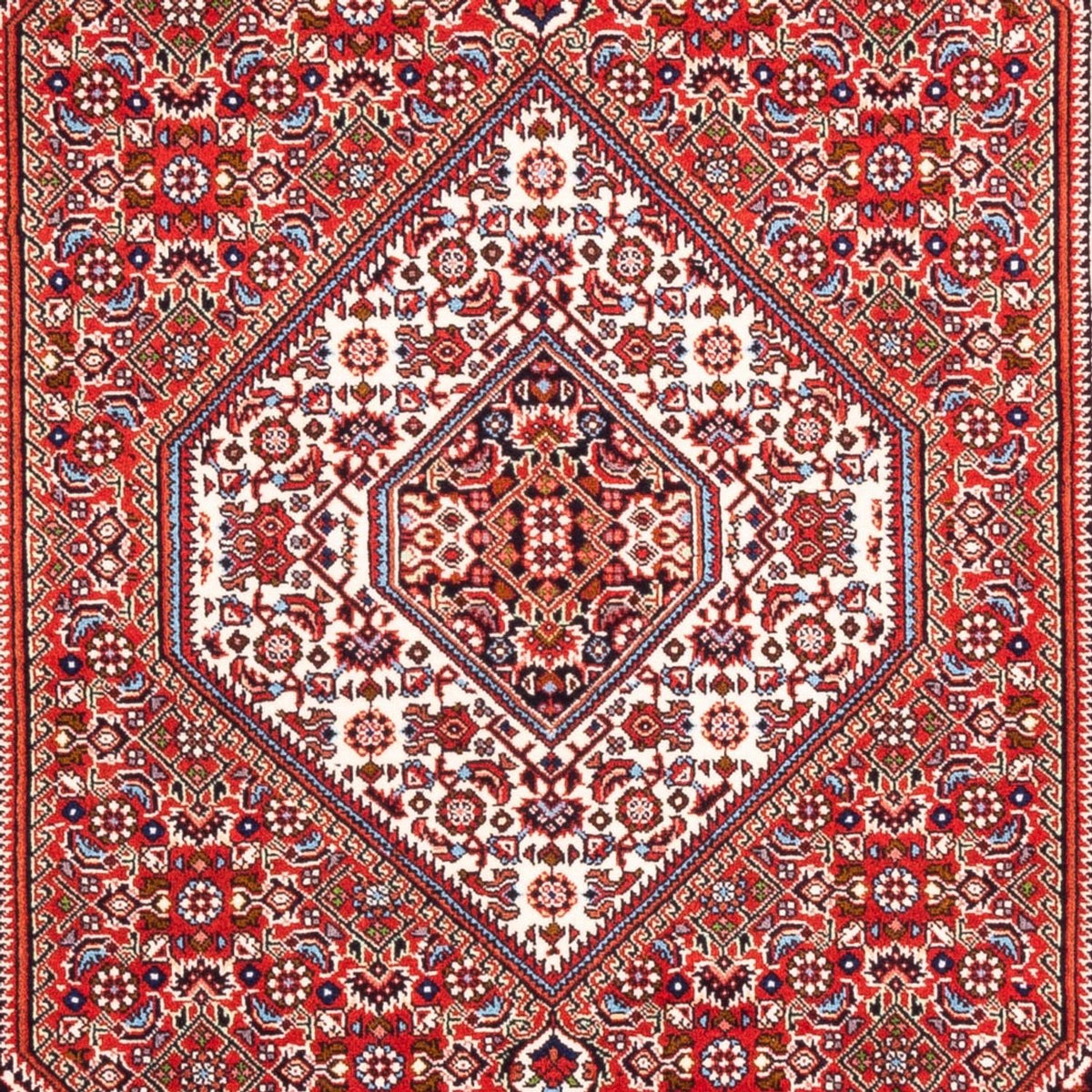 Tappeto Persero - Bidjar - 168 x 109 cm - rosso