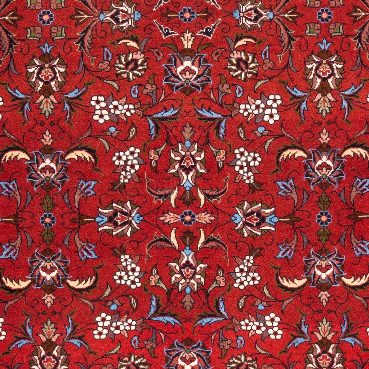 Tappeto Persero - Bidjar - 182 x 110 cm - rosso