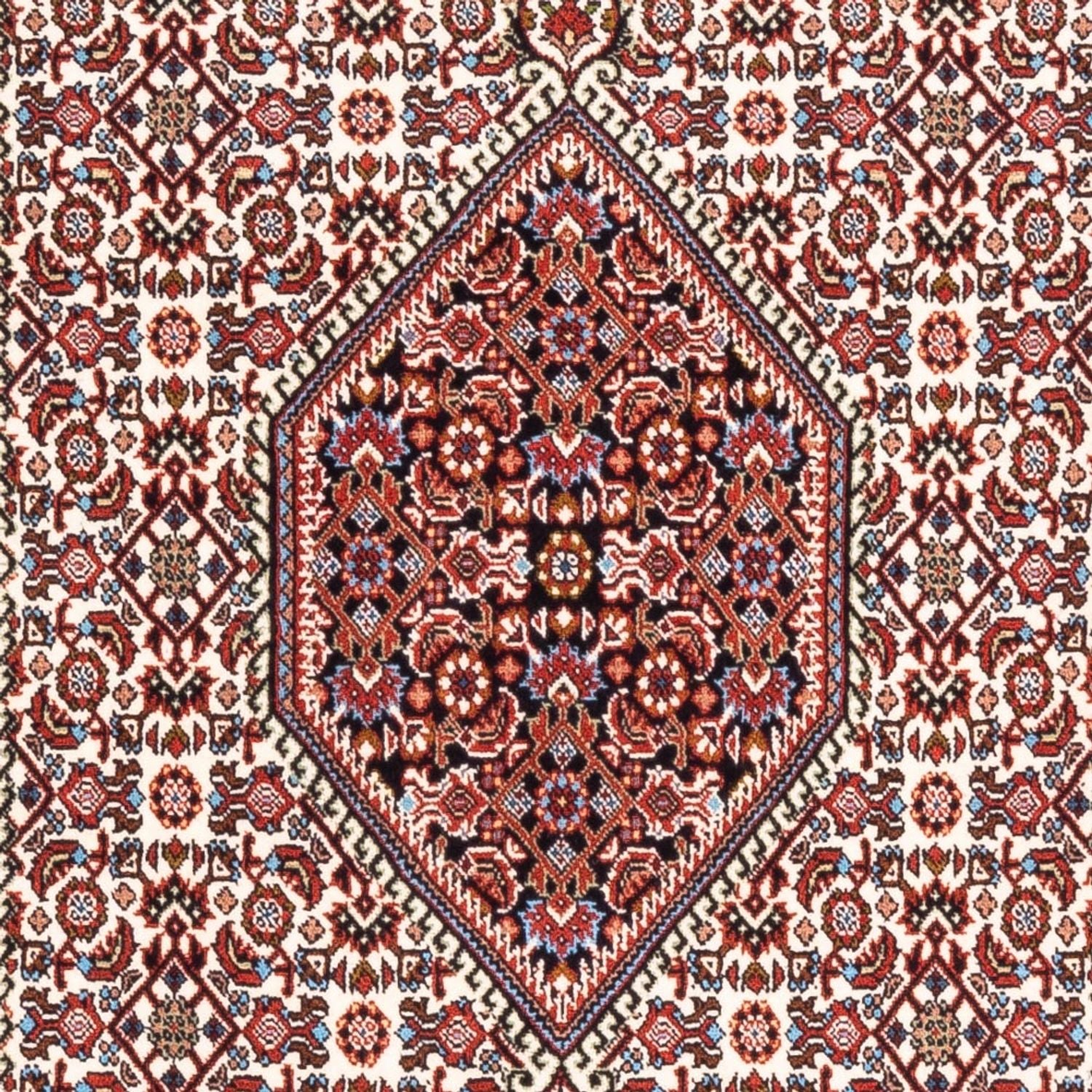 Tappeto Persero - Bidjar - 185 x 106 cm - crema