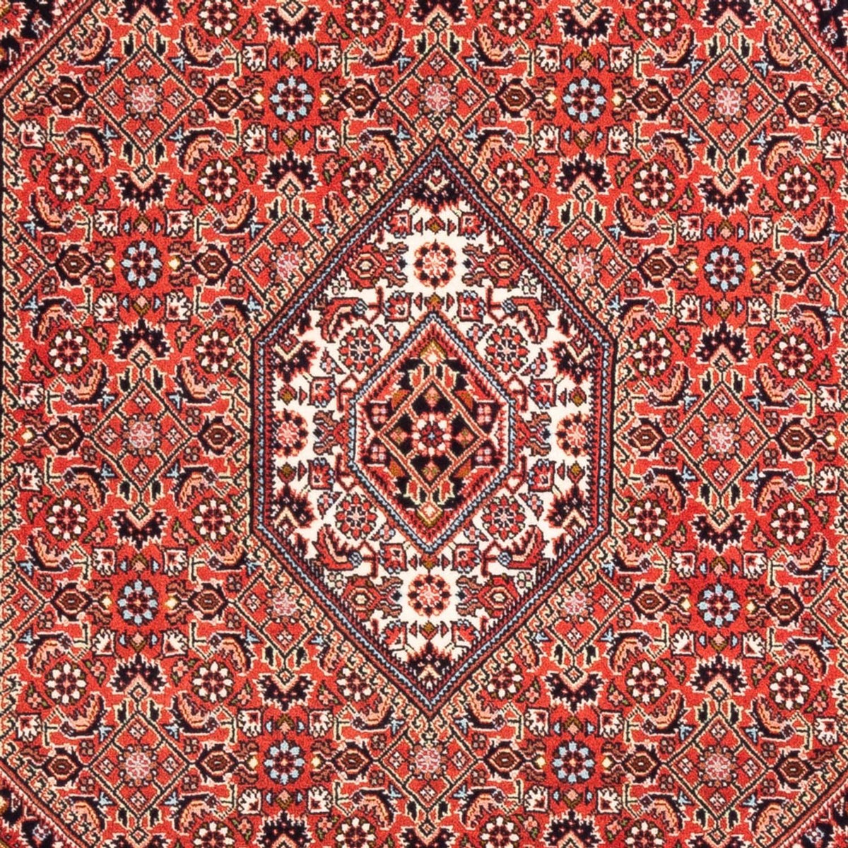 Tappeto Persero - Bidjar - 166 x 110 cm - rosso