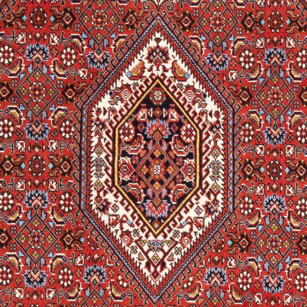 Tappeto Persero - Bidjar - 174 x 107 cm - rosso