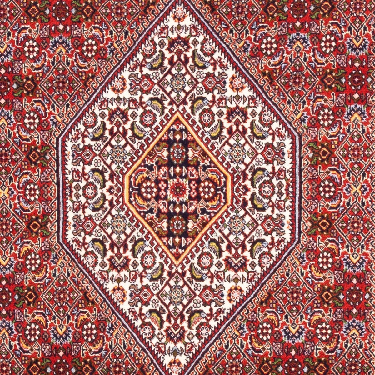 Tappeto corsia Tappeto Persero - Bidjar - 185 x 104 cm - rosso