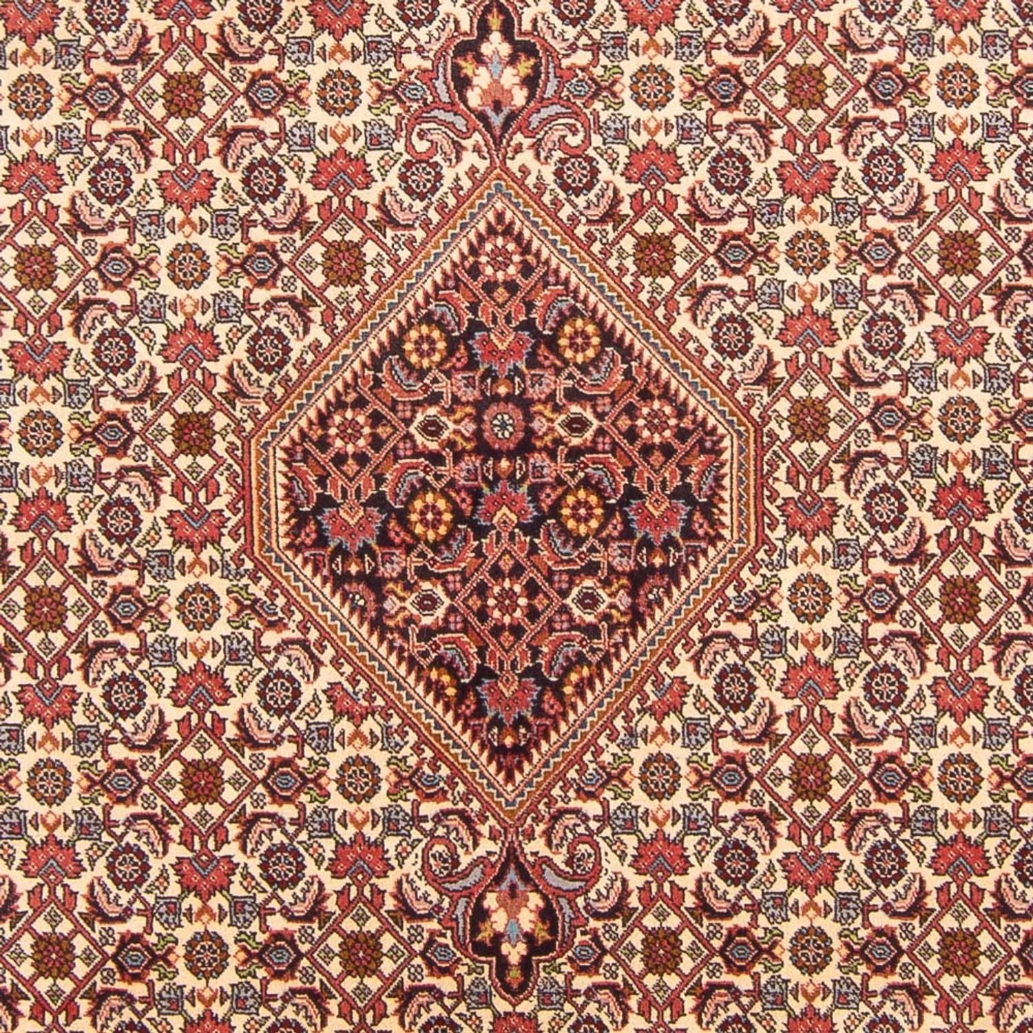 Tappeto Persero - Bidjar - 298 x 200 cm - rosso