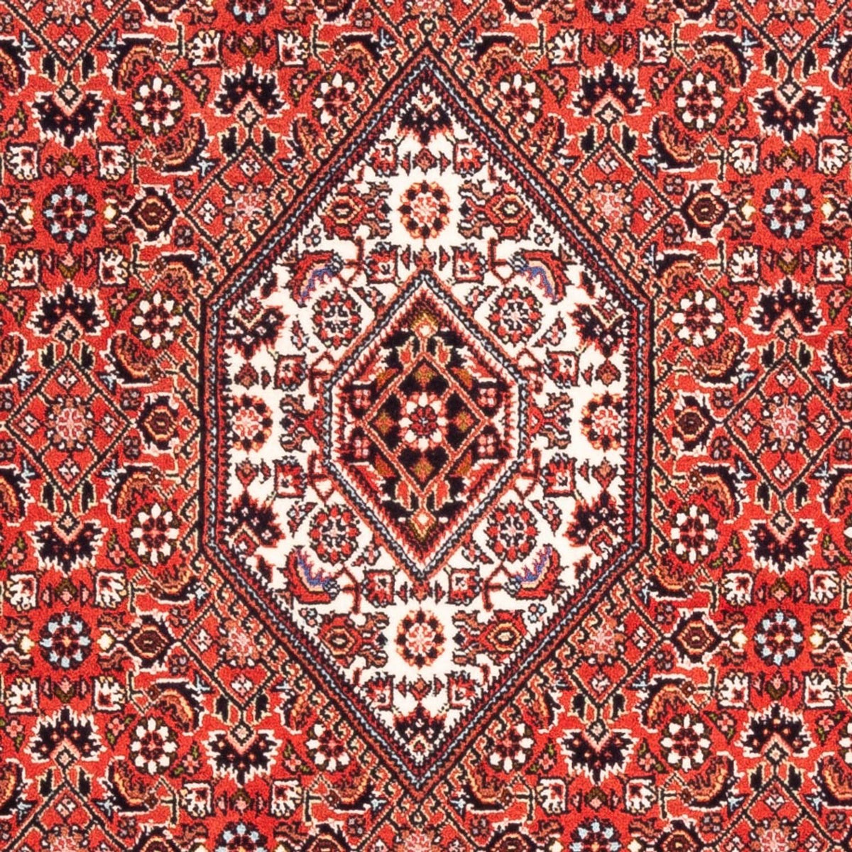 Tappeto Persero - Bidjar - 176 x 108 cm - rosso