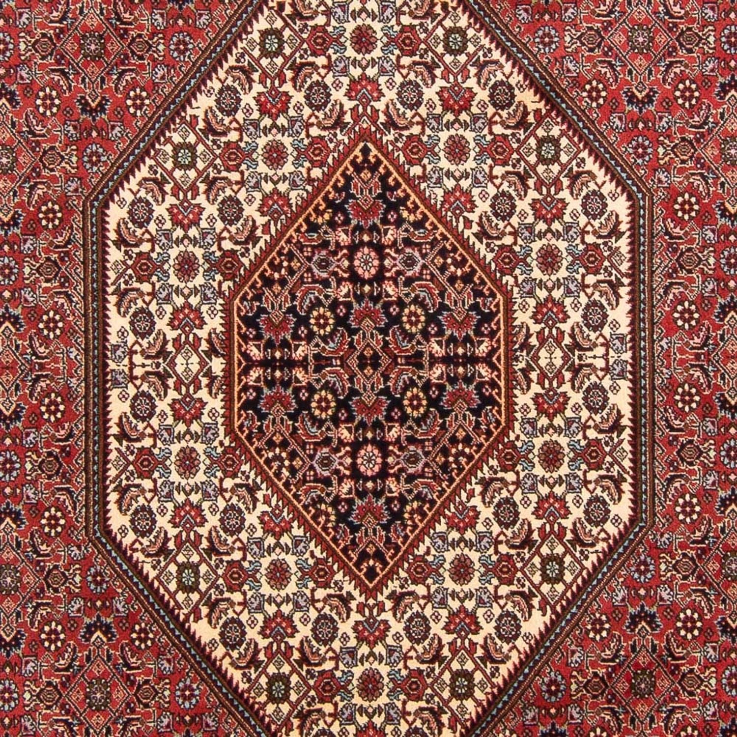 Tappeto Persero - Bidjar - 305 x 198 cm - rosso