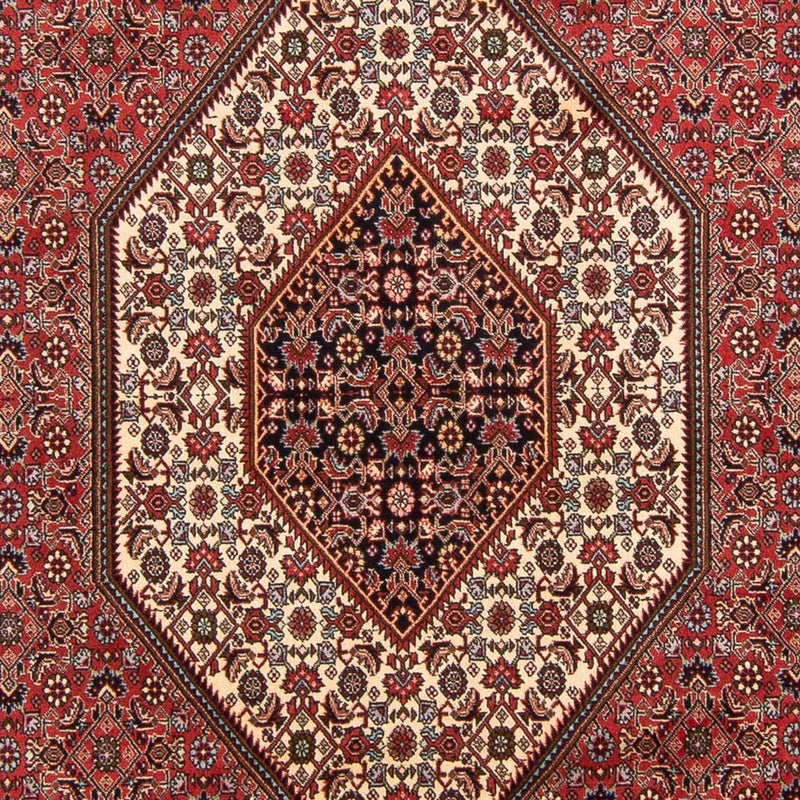 Tappeto Persero - Bidjar - 305 x 198 cm - rosso