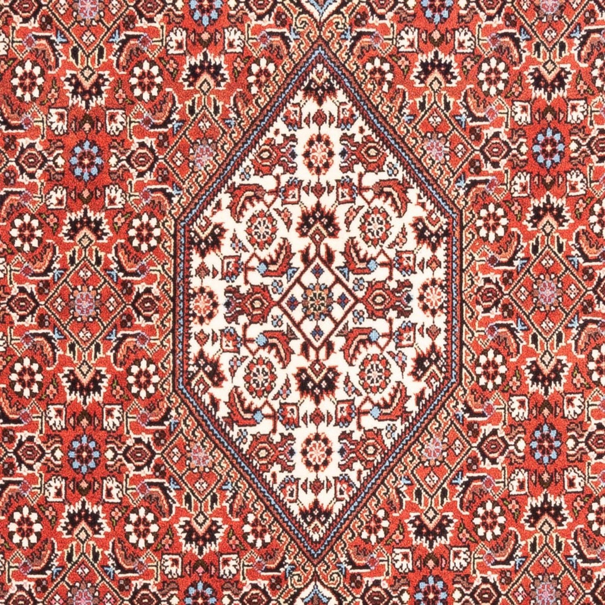 Tappeto Persero - Bidjar - 187 x 107 cm - rosso