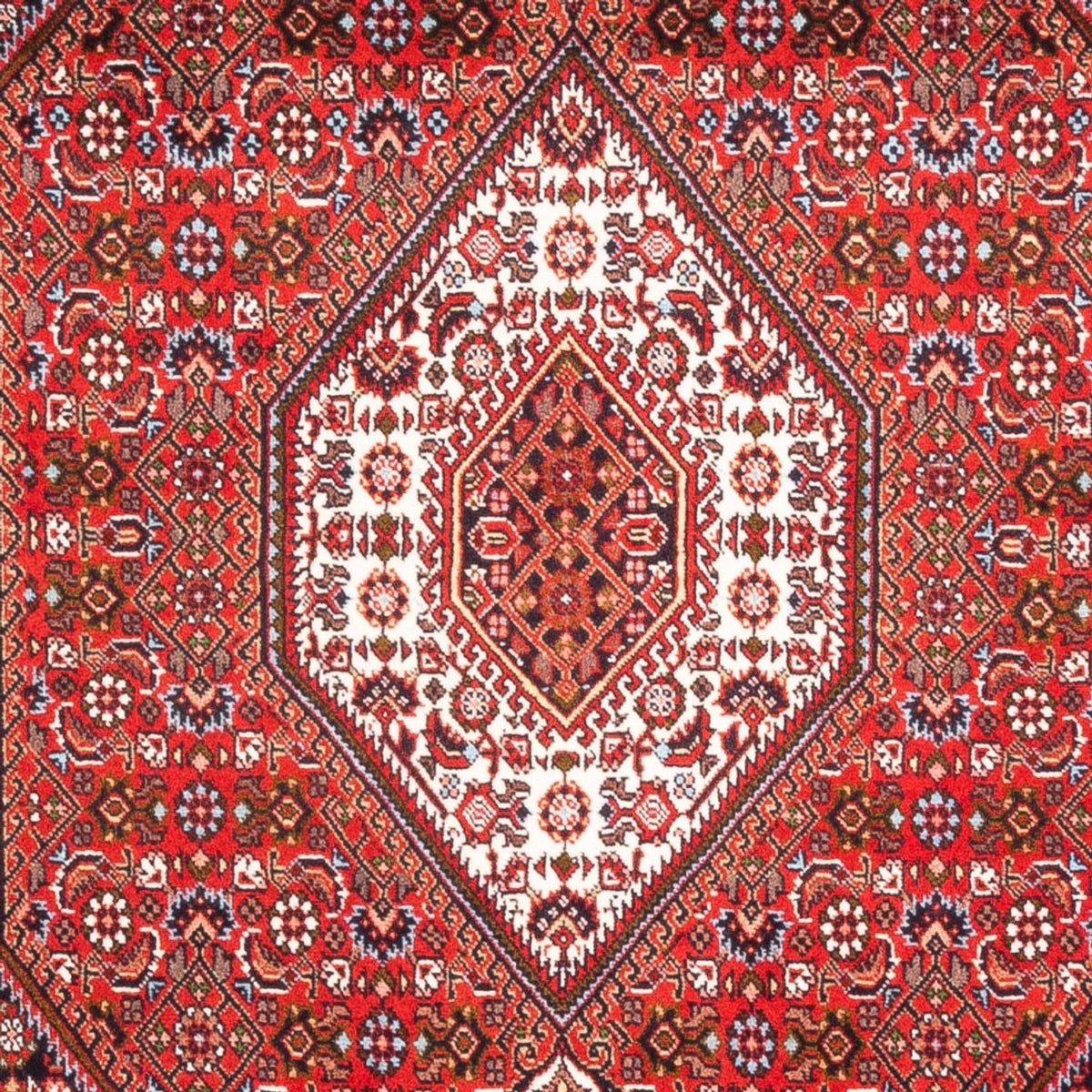 Tappeto Persero - Bidjar - 183 x 110 cm - rosso