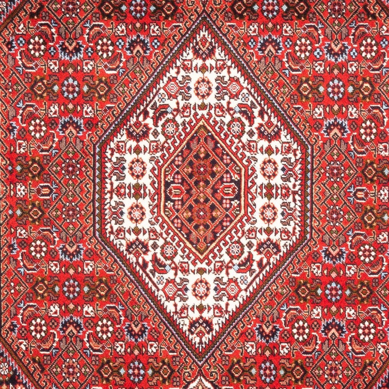 Tappeto Persero - Bidjar - 183 x 110 cm - rosso
