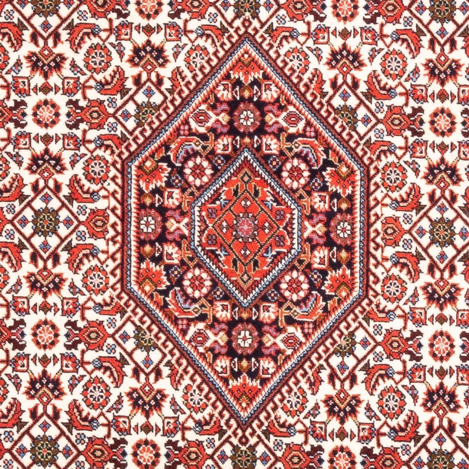 Tappeto Persero - Bidjar - 177 x 107 cm - crema