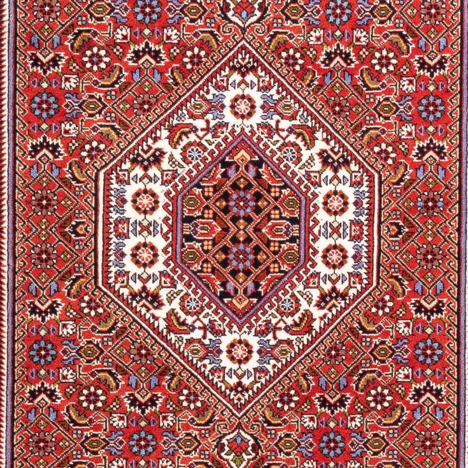 Tappeto Persero - Bidjar - 174 x 110 cm - rosso