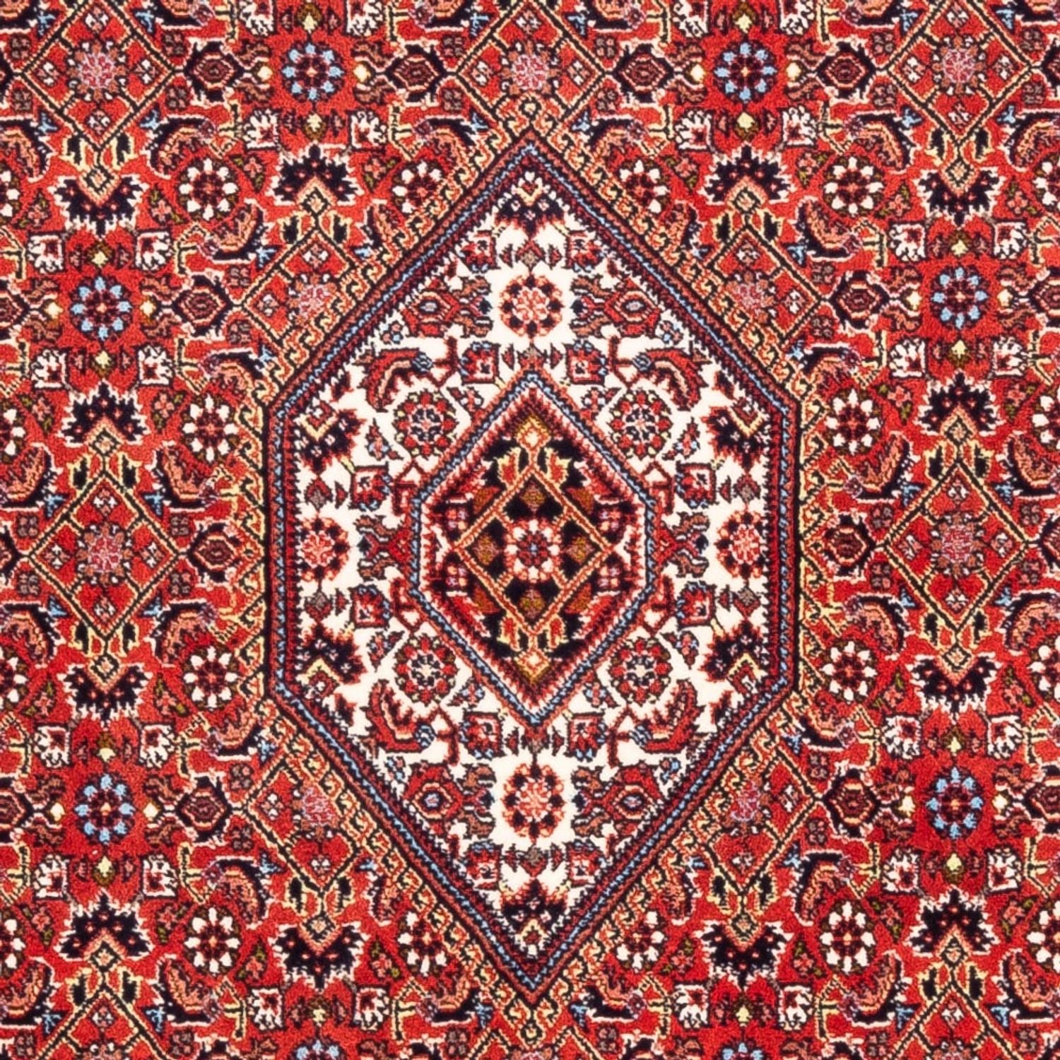 Tappeto Persero - Bidjar - 174 x 108 cm - rosso